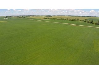 Property photo 9 - PRIME FARMLAND AUCTION - 716+/- ACRES OFFERED IN 8 TRACTS IN CASS & CARROLL COUNTIES